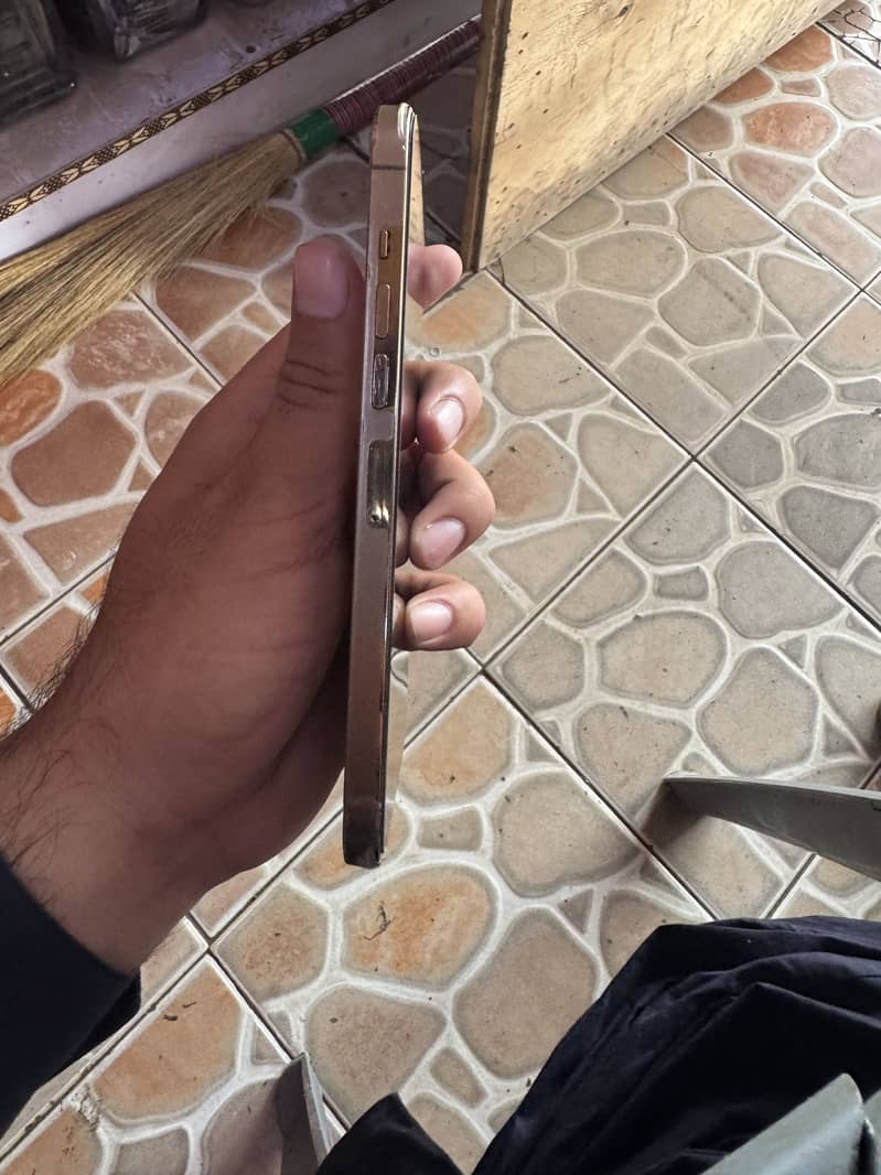 Apple iPhone 13 Pro Max 17