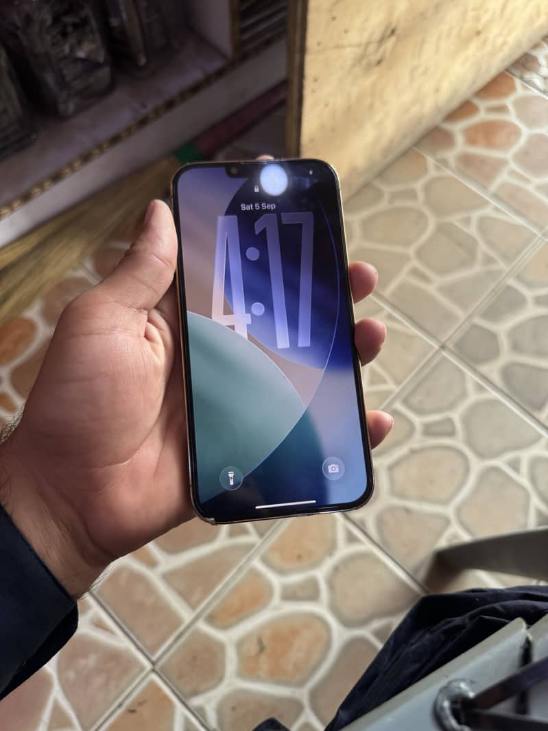 Apple iPhone 13 Pro Max 18