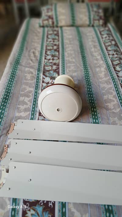 2 Cieling Fans ( Top Fan Company)