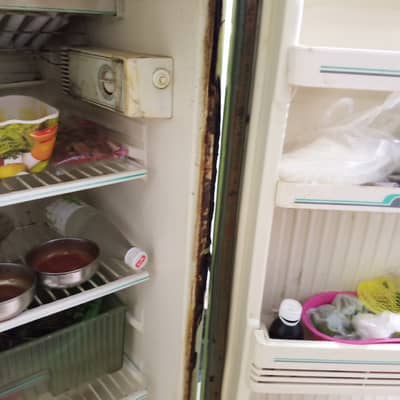 Singer Fridge 12 Cubic ft