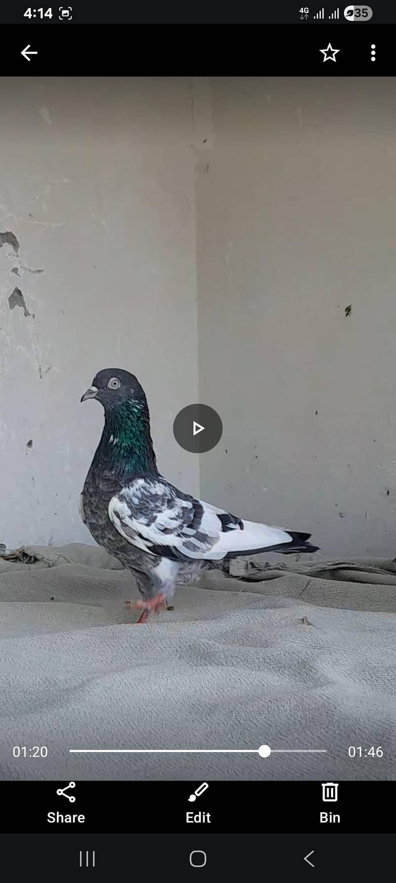 kabooter 0