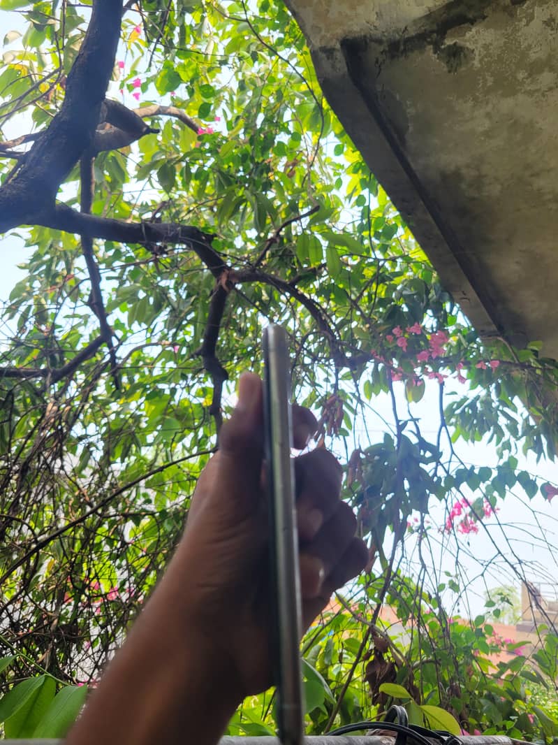 Apple iPhone X 4