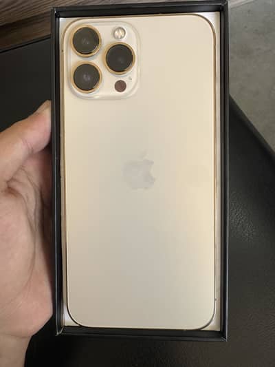 Apple iPhone 13 Pro Max