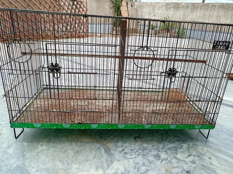 birds cage double portion