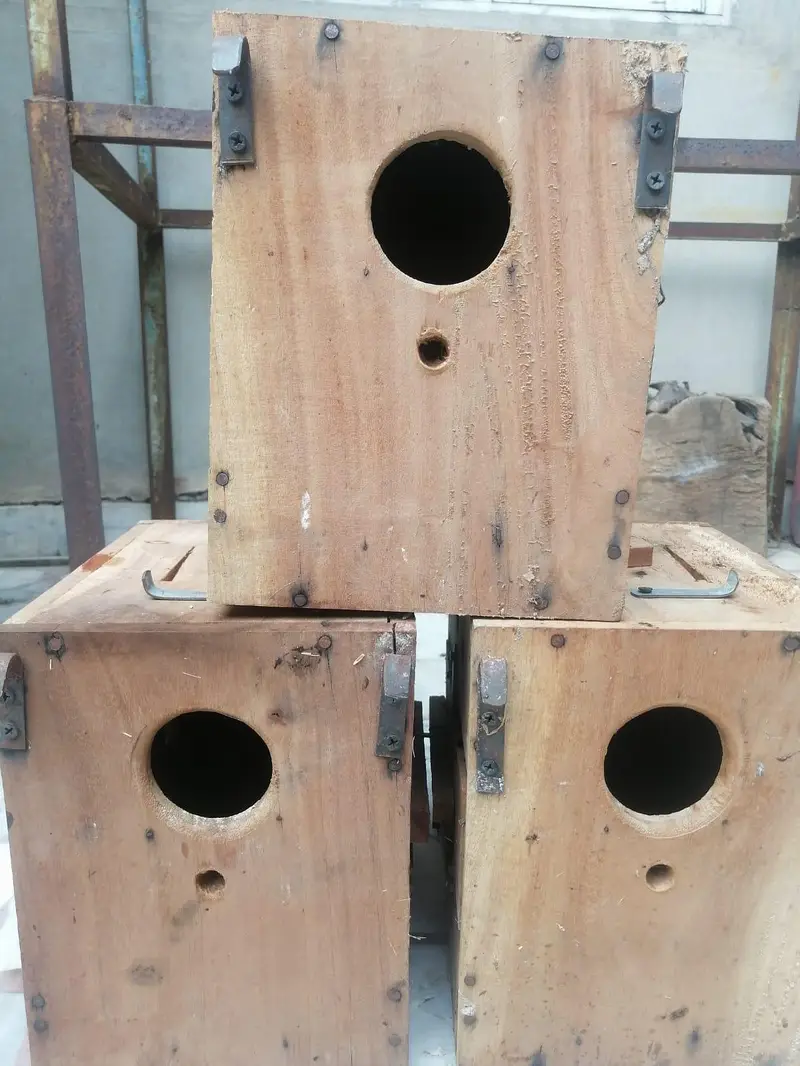 love bird nesting box