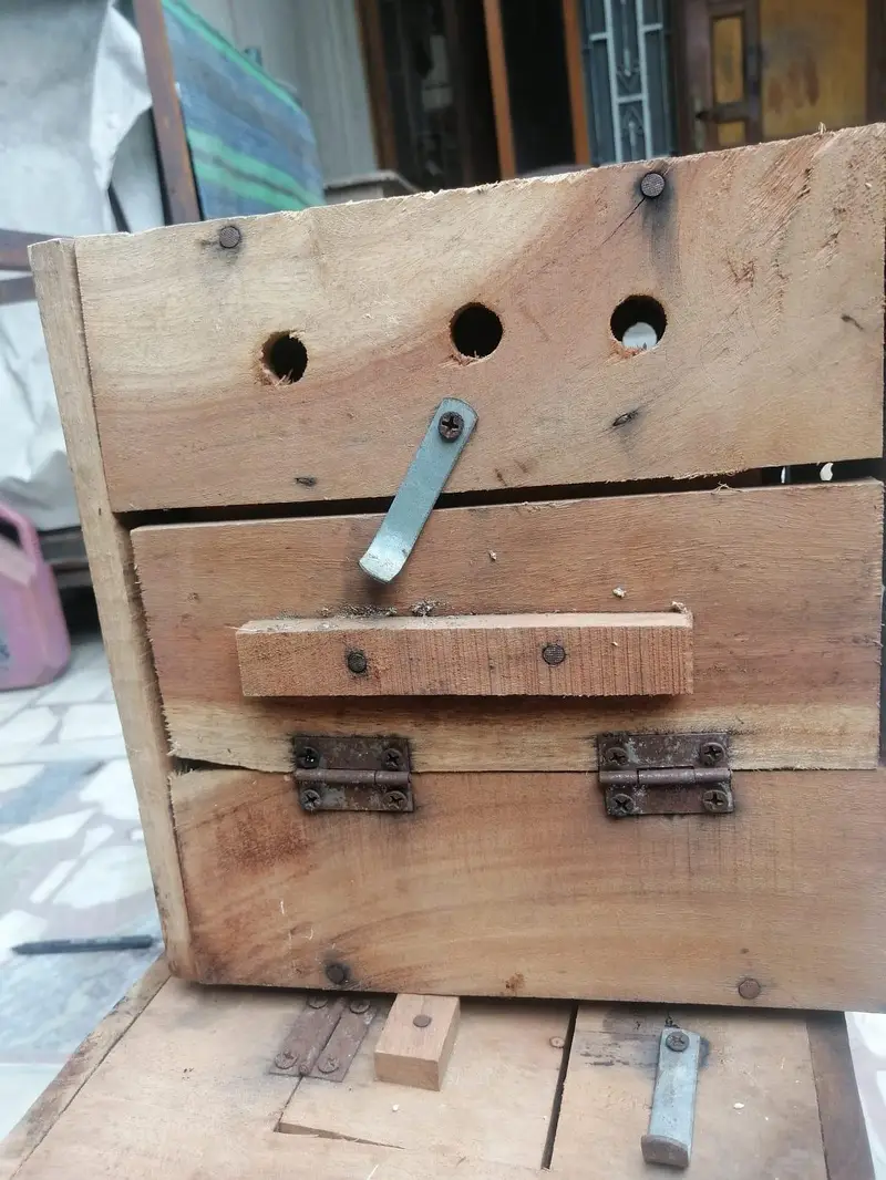 love bird nesting box — photo 2