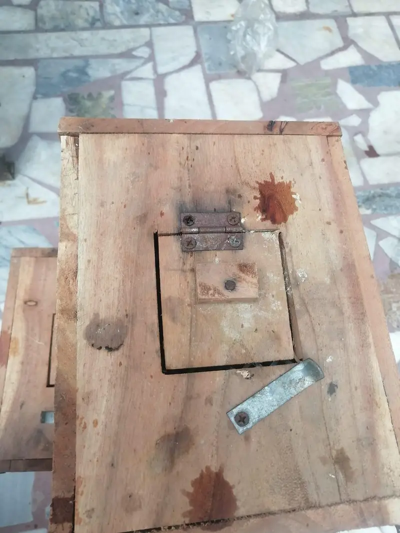 love bird nesting box — photo 5