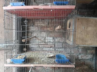 Foldable Used Cage's