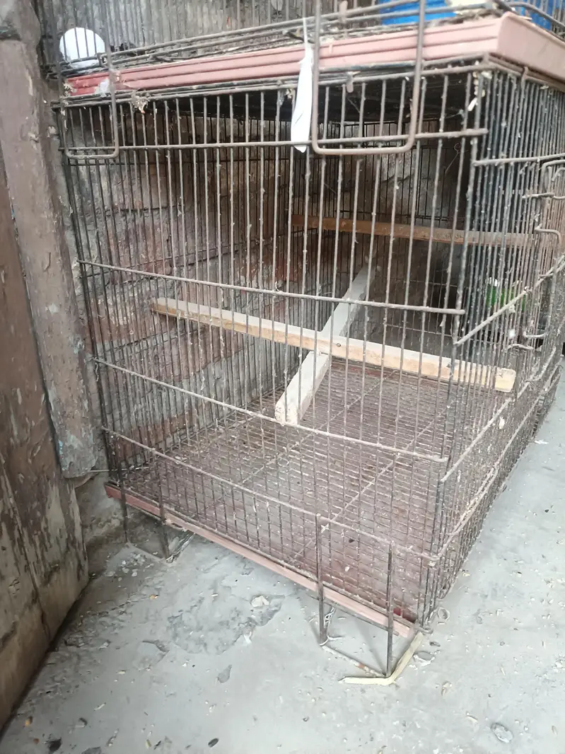 Foldable Used Cage's — photo 2