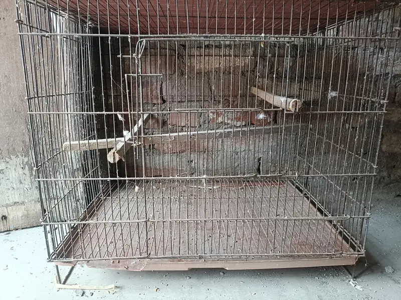 Foldable Used Cage's — photo 3