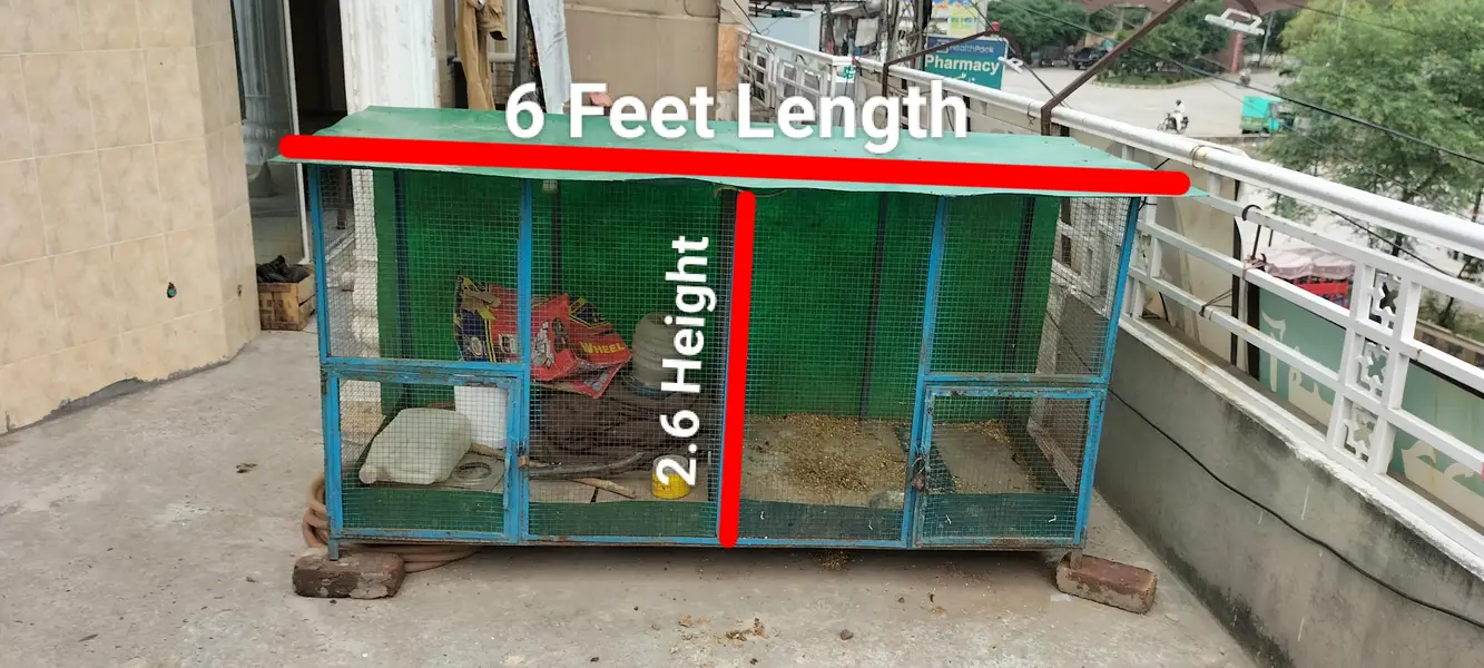 Iron Cage Best Quality