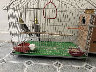 A pair of Beautiful Cocktails