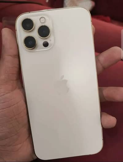 Apple iPhone 12 Pro Max