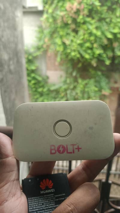 Zong Bolt +