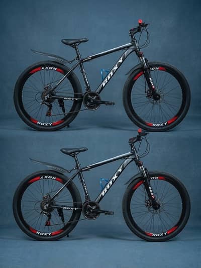 Roxy Speed/Health Mountain Bike (MTB) – Excellent Condition