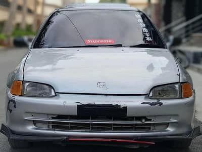 Honda Civic ferio dolphin