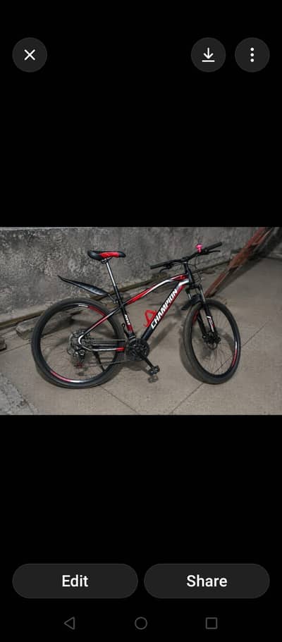 Champion bicycle