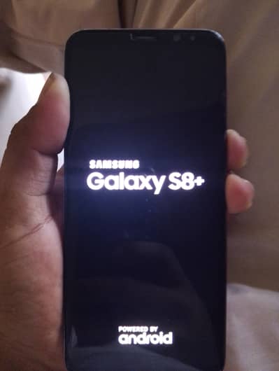 Samsung galaxy s8 plus Panel original with kada