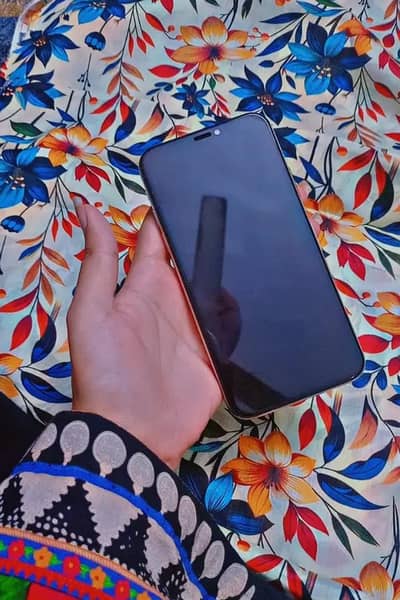 Apple iPhone X