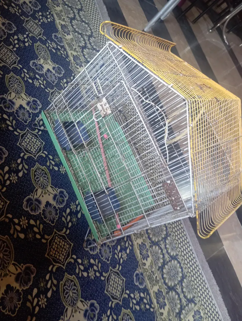 parrot cage — photo 2