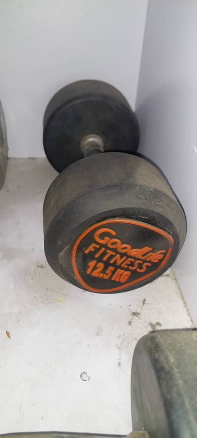 12.5 kg dumbell per piece.  25 kg in pair
