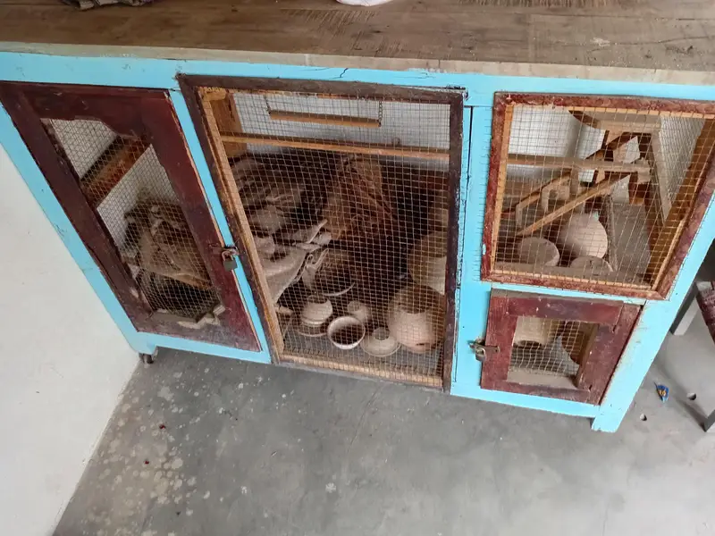 Birds Cage — photo 2