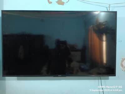 Sony 55" Android TV  (Original)