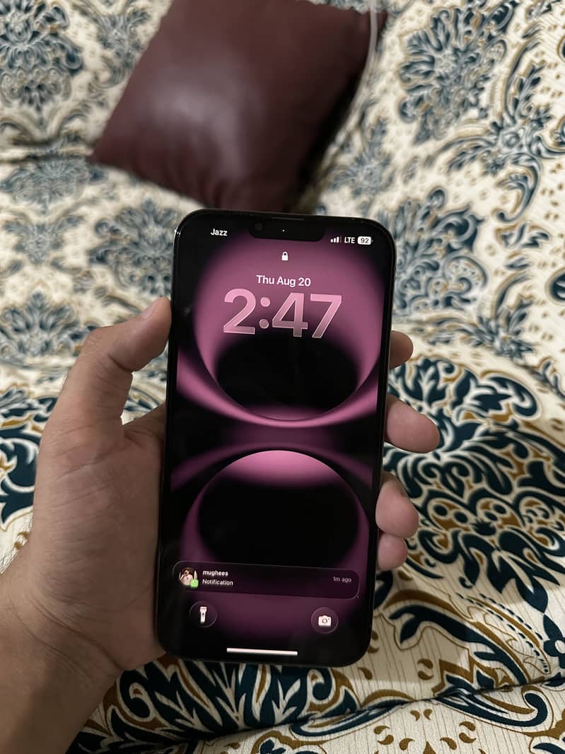 Apple iPhone 13 Pro Max 1