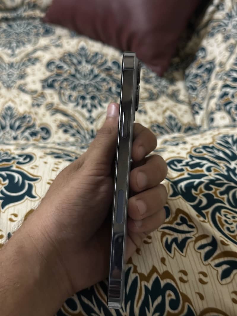 Apple iPhone 13 Pro Max 2