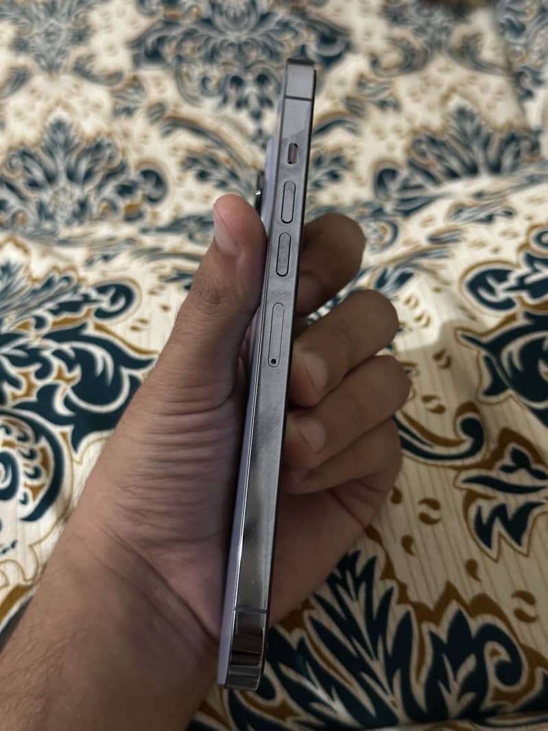 Apple iPhone 13 Pro Max 3