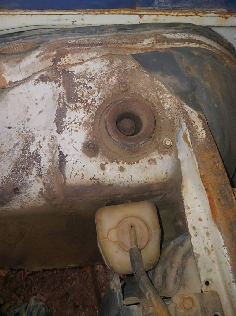 Suzuki 8