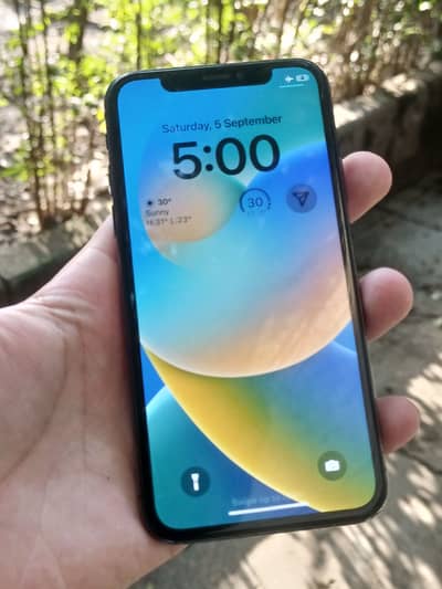 Apple iPhone X (256GB)