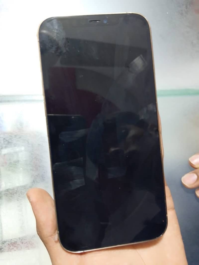 Apple iPhone 12 Pro Max 1