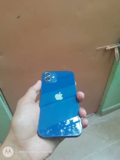 Apple iPhone 12