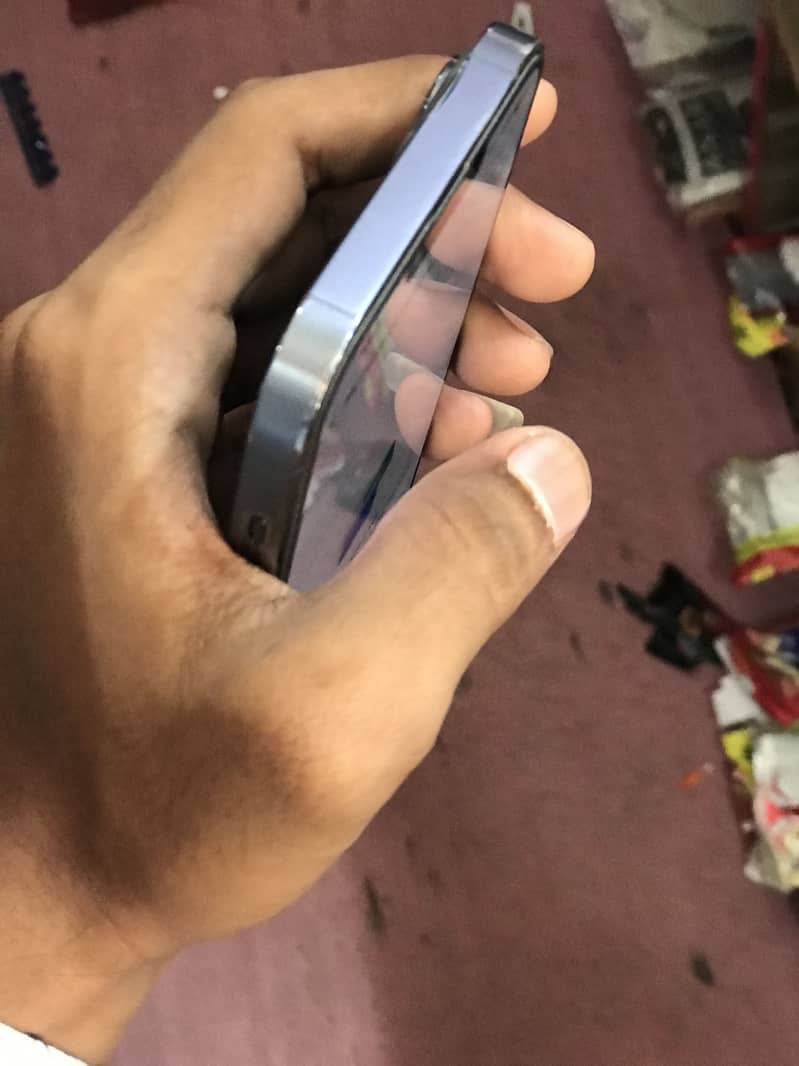 Apple iPhone 13 Pro Max 2