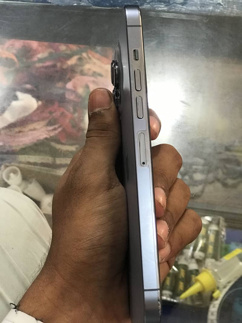 Apple iPhone 13 Pro Max 1