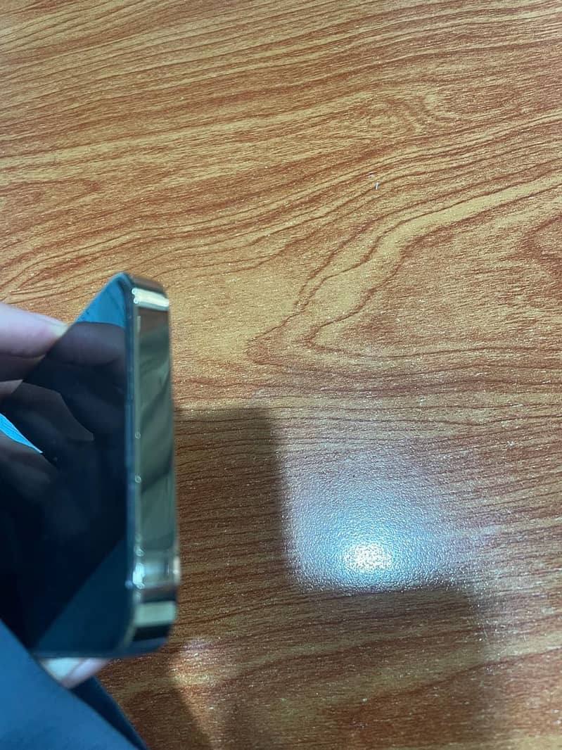 Apple iPhone 13 Pro 3