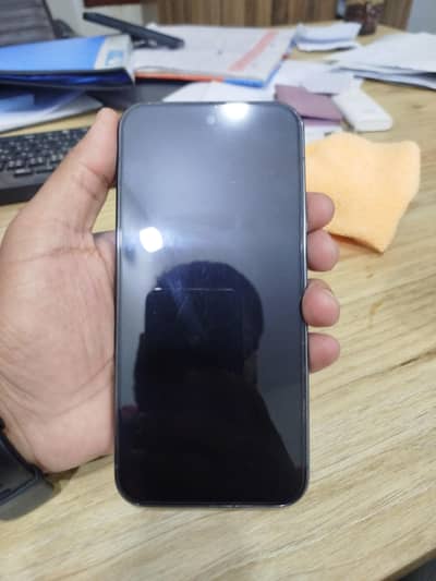 Google Pixel 9 Pro XL