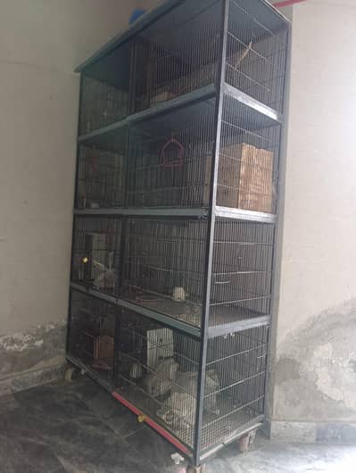 8 Portion Iron Cage