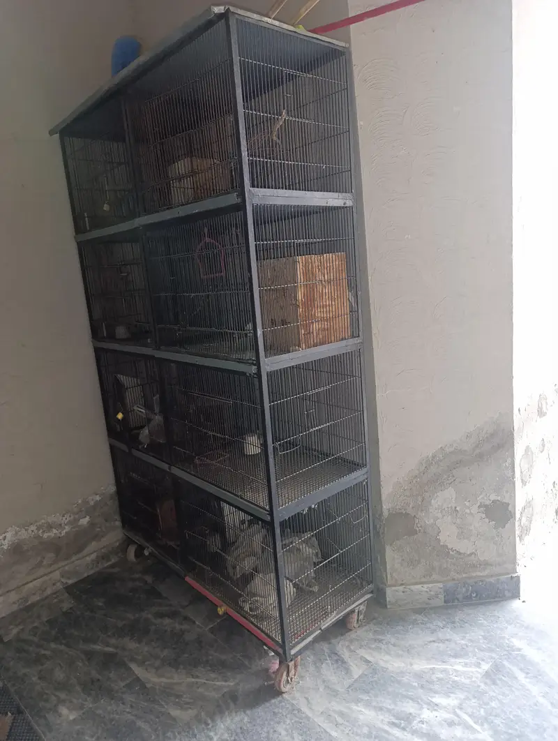 8 Portion Iron Cage — photo 2