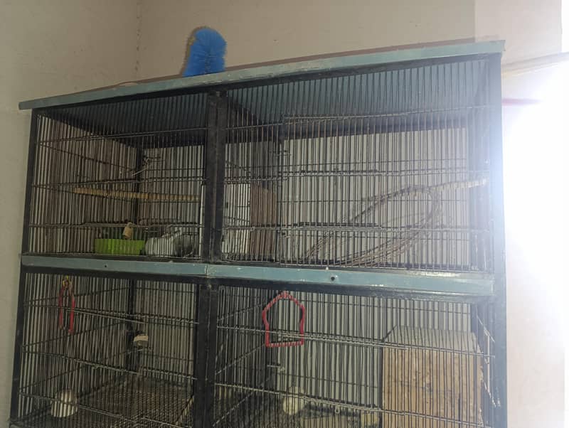 8 Portion Iron Cage 2