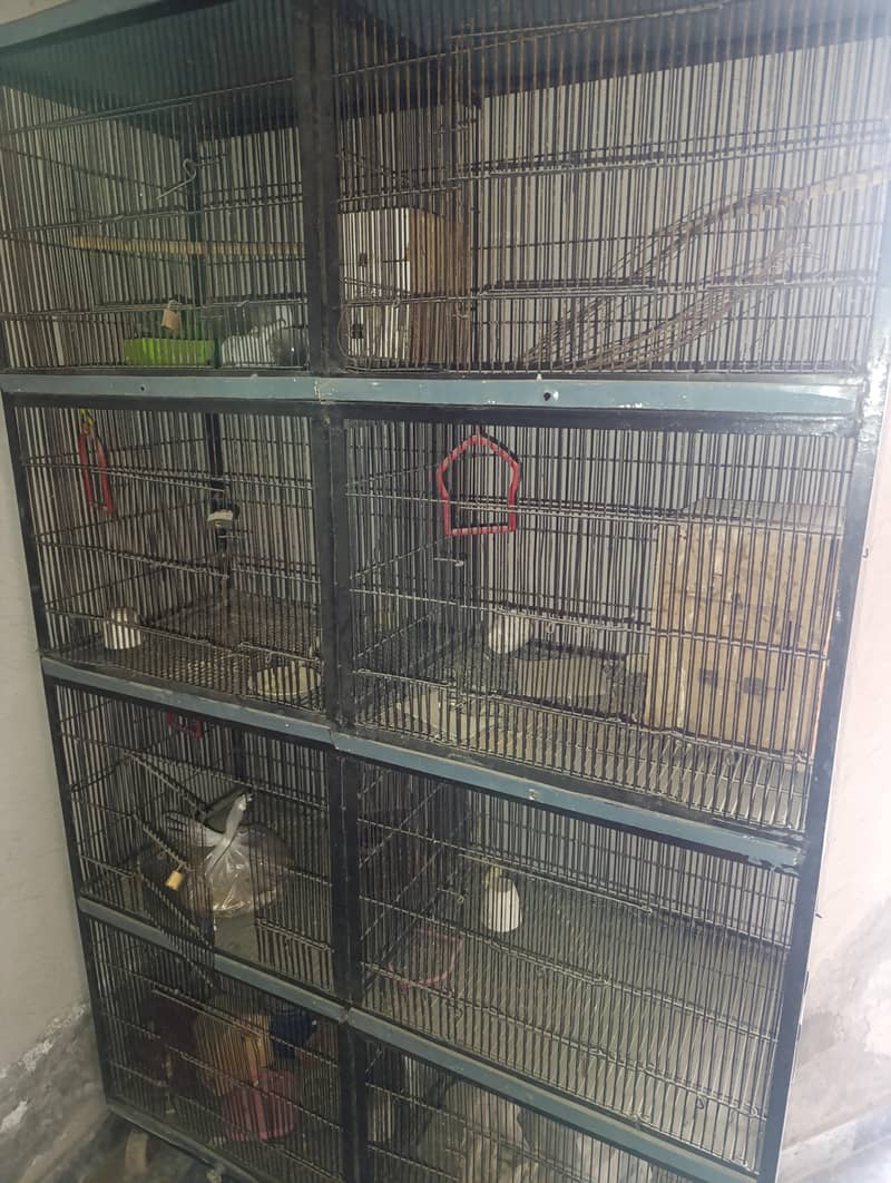 8 Portion Iron Cage 3