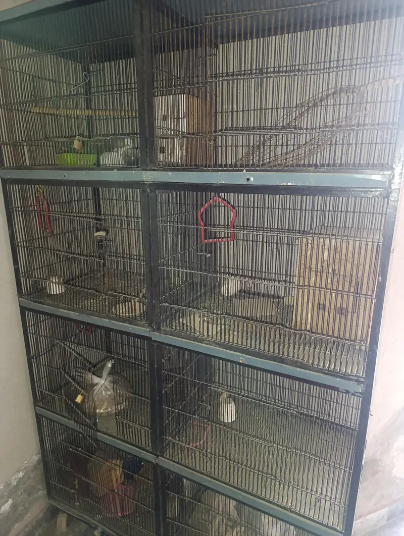 8 Portion Iron Cage — photo 4