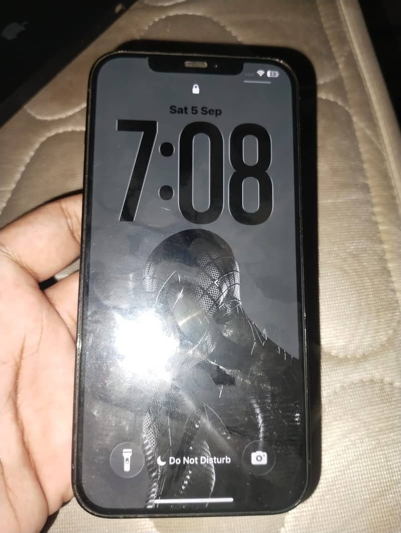 Apple iPhone 12 Pro Max 1