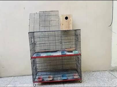 Cage Double Story with Breeder Box