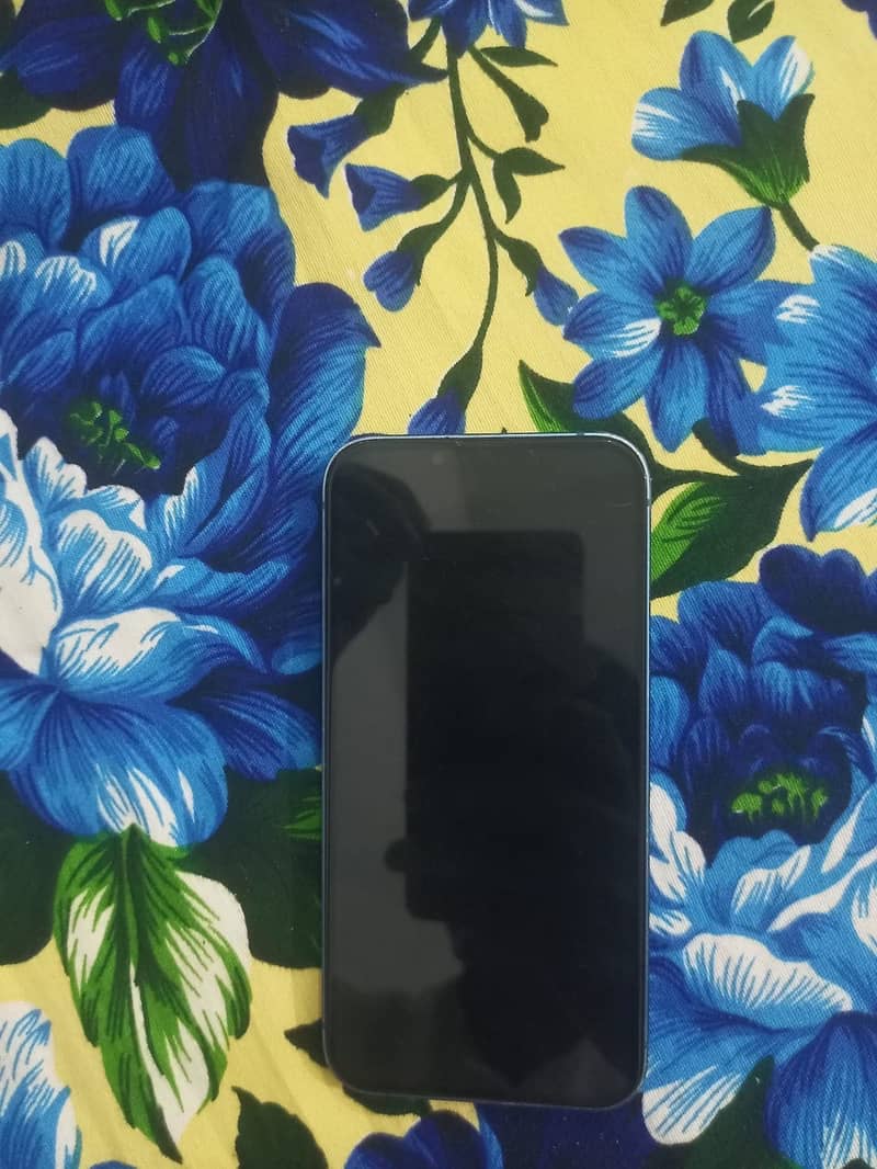 Apple iPhone 13 1