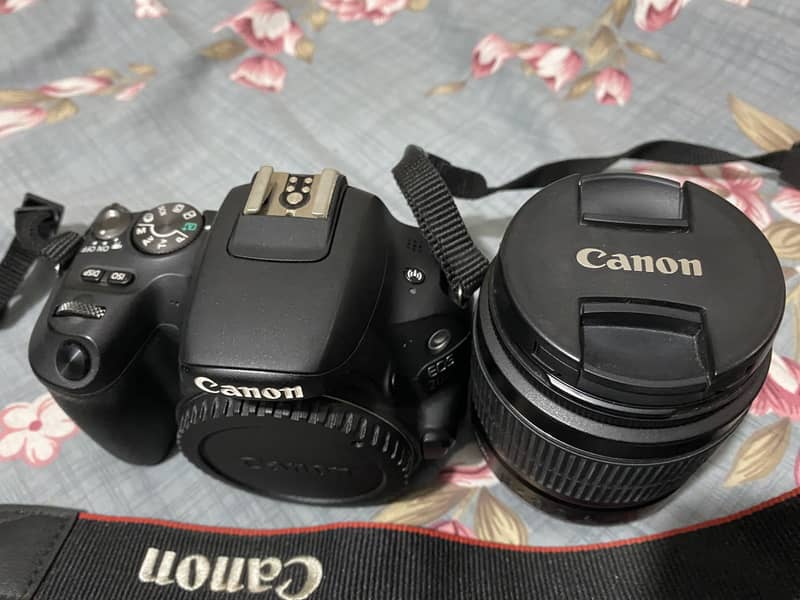 Canon EOS 200D mint condition 0