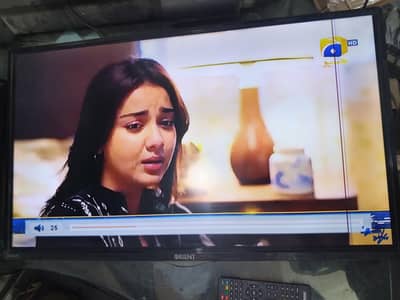 Orient LED TV