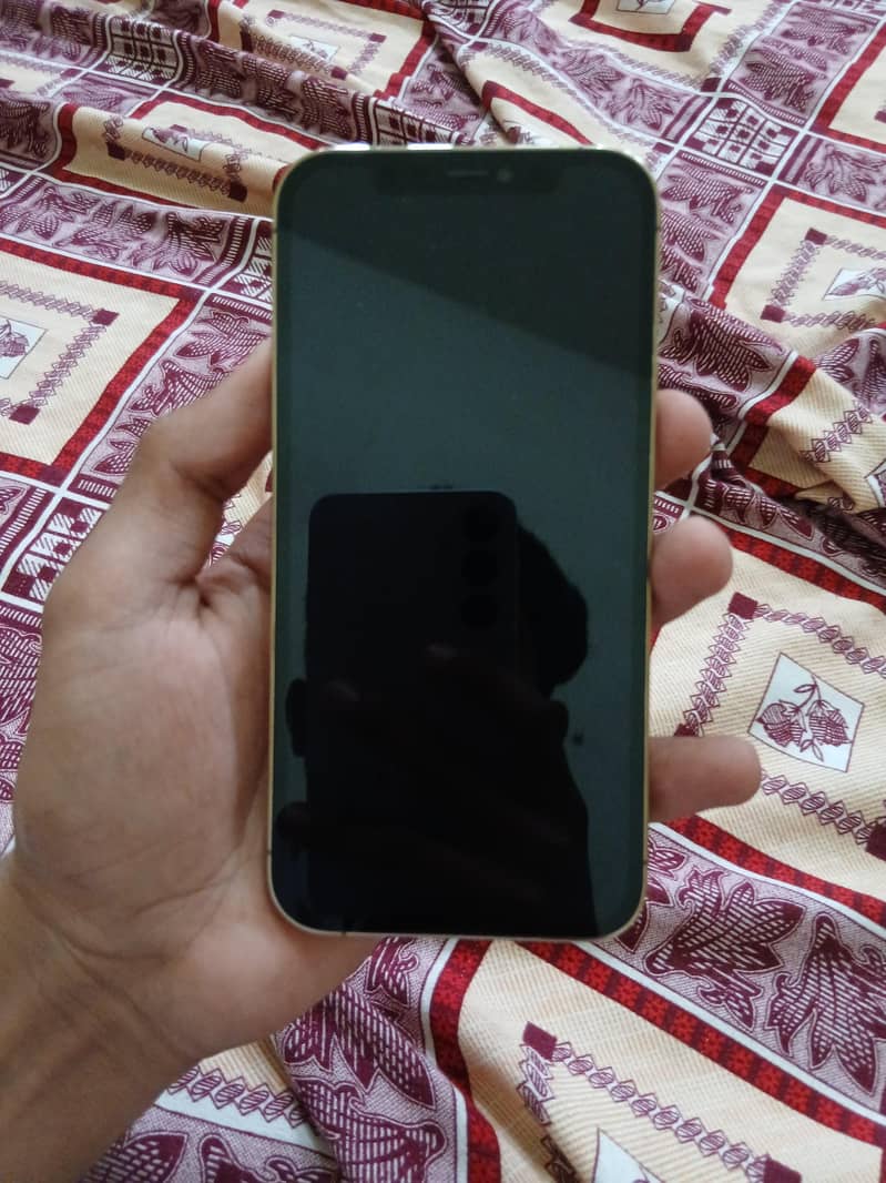 Apple iPhone 12 Pro 1