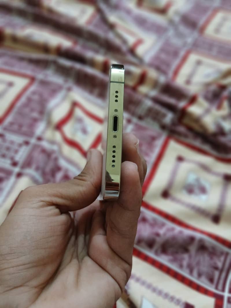 Apple iPhone 12 Pro 4